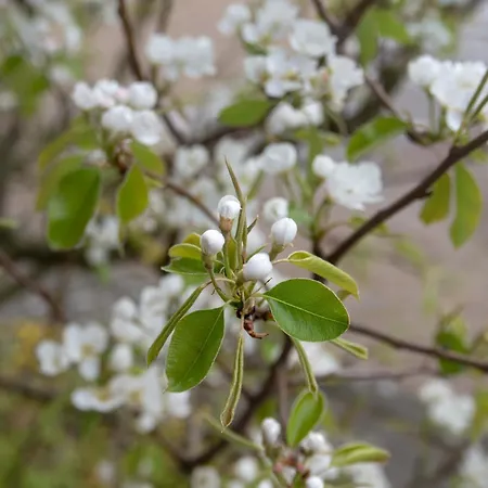 Hartje Guest house Oirschot