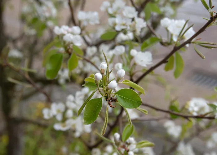 Hartje Guest house Oirschot